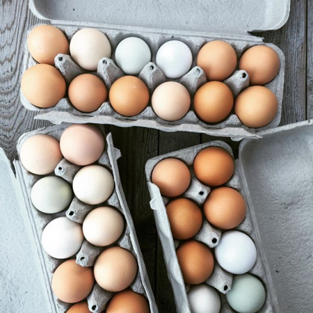 Baby Hen Eggs (Pullet Eggs) - One Dozen