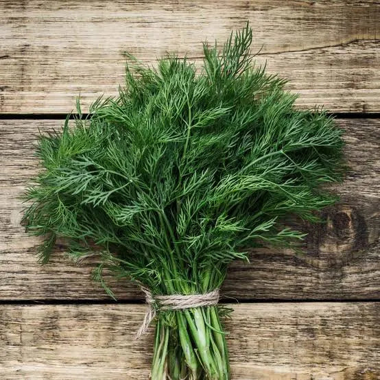 Dill - 1 bunch