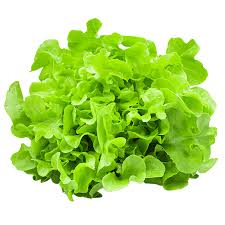 Lettuce - Green Leaf, 5 oz.