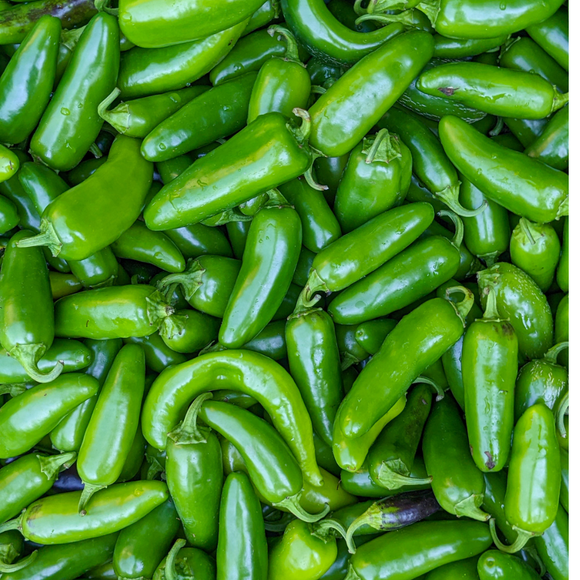 Jalapeño Peppers – 1 lb