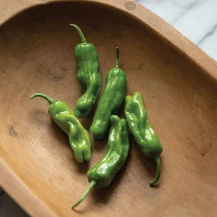 Peppers - Shishito