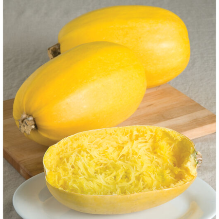 Spaghetti Squash - Case