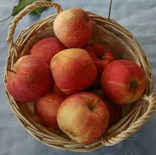 Fruit