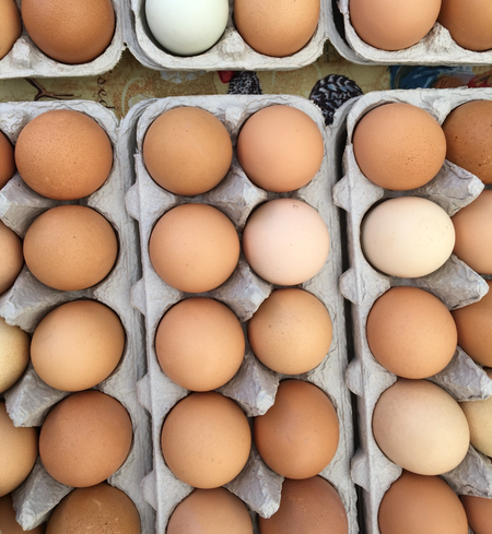Pasture-Raised Eggs, NonGMO - Grade A Large (15 dozen flats)