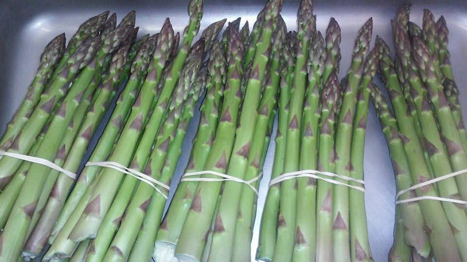 Asparagus - Hartz Lil Red Barn