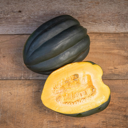 Squash, Acorn