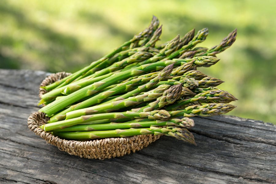 Asparagus - Carrolls' Timber Edge Farm