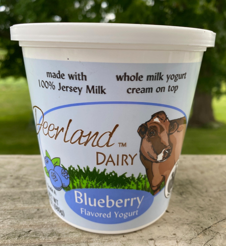 Blueberry Yogurt - 16 Oz