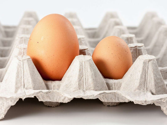 Jumbo Eggs – 1 Dozen (Pasture-Raised, Non-GMO Fed)