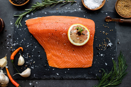 Coho Salmon