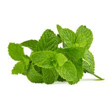 Mint – Peppermint - 1 oz.