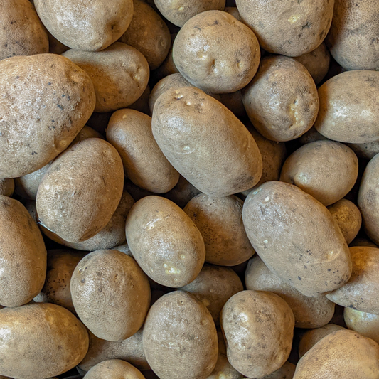 Potatoes - Russet